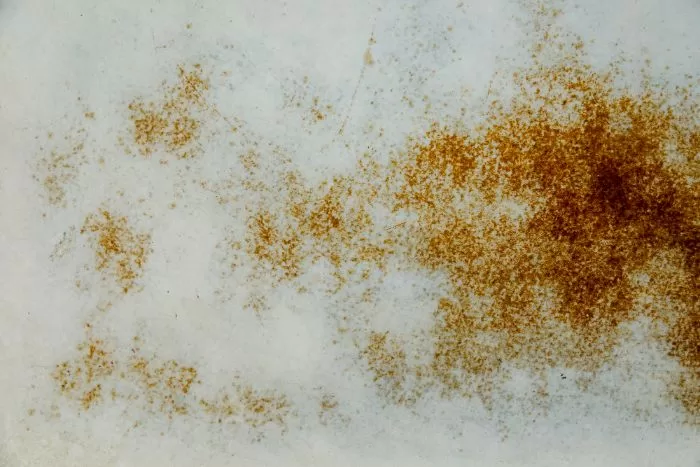 Erase Your Espresso: The Ultimate Guide to Removing Coffee Stains